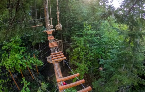 Aerial view of a treetop obstacle course with wooden bridges and ropes, surrounded by lush green trees.