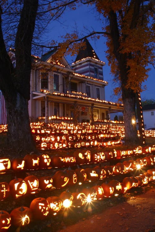 A house decorated with glowing jack-o'-lanterns, surrounded by trees and illuminated by festive lights at dusk.
