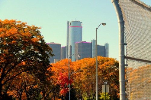 City skyline with modern buildings surrounded by vibrant autumn trees in shades of orange and yellow.