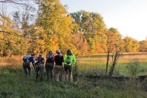 A group of hikers in colorful attire exploring a vibrant, autumn landscape with trees and a grassy field.