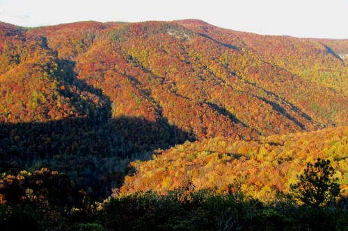 Vibrant autumn landscape with rolling hills covered in colorful foliage under a clear sky.