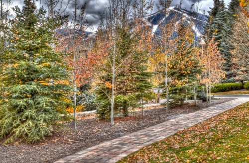 A scenic pathway lined with trees in autumn colors, leading towards mountains under a cloudy sky.