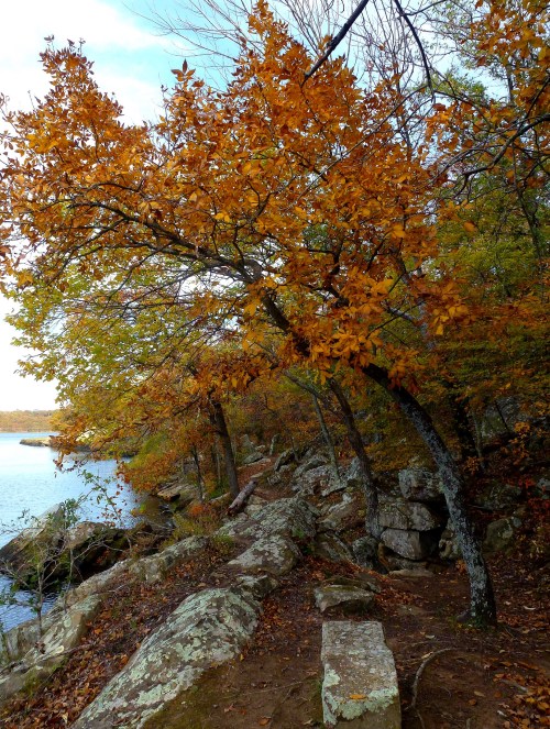 A scenic view of a rocky shoreline with trees displaying vibrant autumn leaves beside a calm body of water.