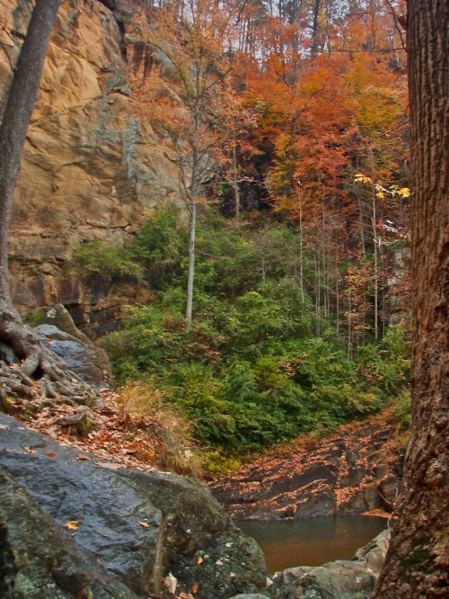 A serene landscape featuring a rocky cliff, vibrant autumn foliage, and a calm water body surrounded by trees.