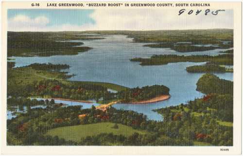 Aerial view of Lake Greenwood, showcasing lush greenery and winding waterways in Greenwood County, South Carolina.