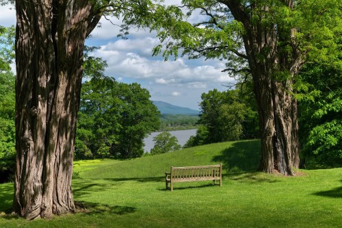 A wooden bench sits on a grassy hill between two large trees, overlooking a river and distant mountains under a cloudy sky.