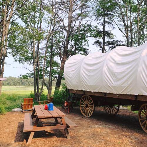 A covered wagon parked near a picnic table surrounded by trees and greenery.