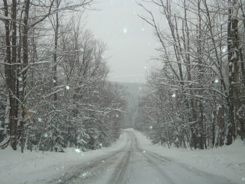 A snowy road surrounded by bare trees, with snowflakes gently falling in a winter landscape.