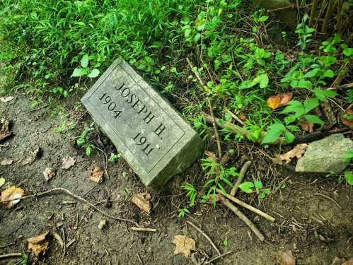 A weathered grave marker reading "Joseph H. 1904-1911" surrounded by greenery and dirt.
