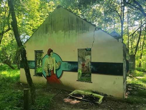 Abandoned house in a forest, featuring a colorful mural on one wall and surrounded by lush greenery.