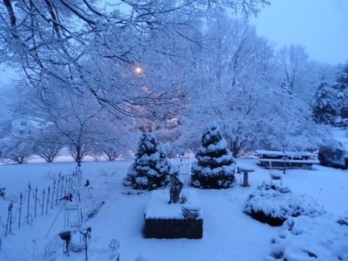 A snowy landscape with trees and bushes covered in white, a streetlight glowing softly in the background.
