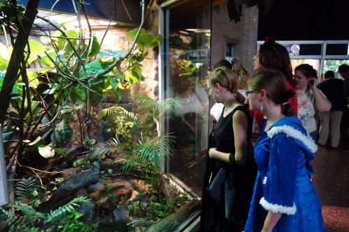 A group of people observes a lush, green habitat through a large glass window in an indoor setting.