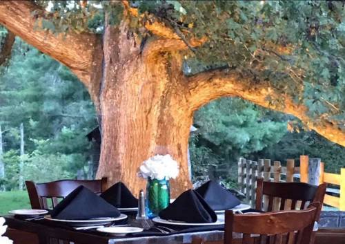 A rustic outdoor dining setup with a wooden table, black napkins, and a large tree in the background.