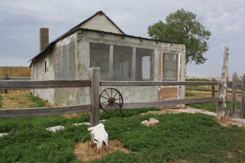 Abandoned house with a screened porch, surrounded by grass and a wooden fence, with a goat in the foreground.