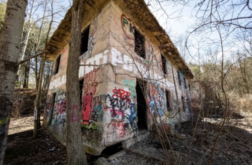 Abandoned building covered in colorful graffiti, surrounded by bare trees and overgrown vegetation.