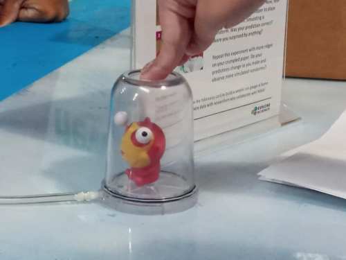 A colorful toy character inside a clear dome, with a hand reaching to interact with it.