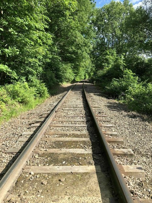 A view of railway tracks stretching into a lush green forest under a clear blue sky.