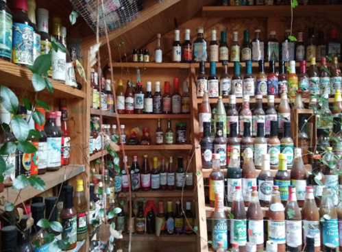 A wooden shelf filled with various bottles of sauces and beverages, surrounded by green vines.