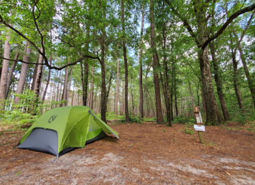 A green tent set up in a wooded area with tall trees and a campsite sign nearby.