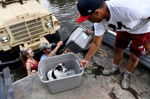 A man places a dog in a container on a boat while others assist in a rescue operation during a flood.