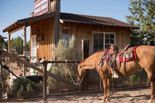 A horse with a saddle stands near a wooden building labeled "Trail Rides" surrounded by trees and a fence.