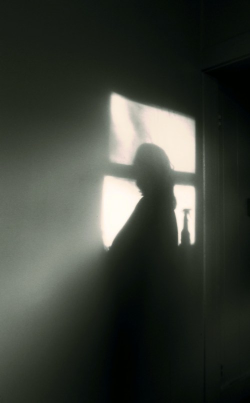 A shadowy silhouette of a person stands against a wall, illuminated by light from a window. A spray bottle is visible nearby.