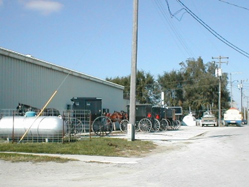 A row of horse-drawn buggies parked beside a building, with utility poles and vehicles in the background.