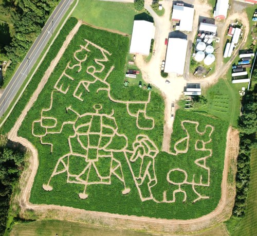 Aerial view of a corn maze featuring "Etsch Farm" and "50 Years" carved into the greenery, surrounded by farm buildings.