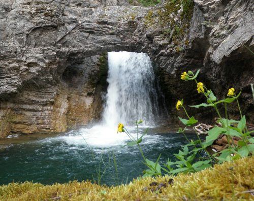 A waterfall cascades through a rocky arch, surrounded by lush greenery and wildflowers in a serene natural setting.
