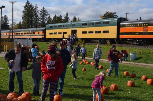 A crowd of people gathers among pumpkins at a fall festival, with a vintage train in the background.