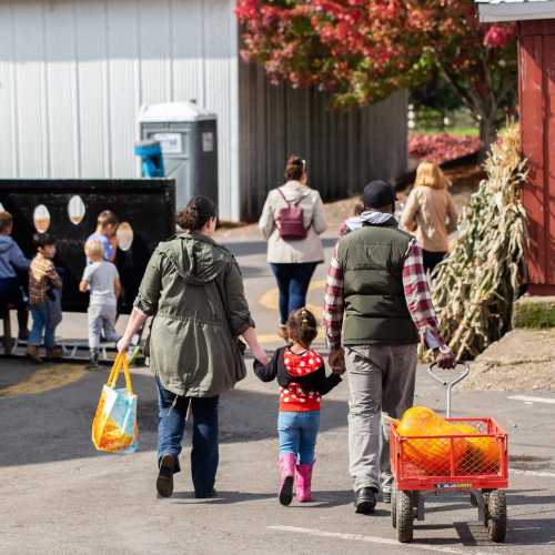 Families walk together at a pumpkin patch, carrying bags and enjoying a sunny autumn day.