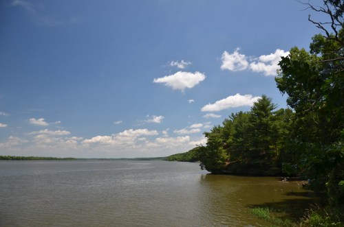 A serene river scene with lush green trees under a bright blue sky with fluffy white clouds.