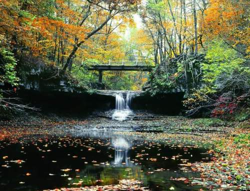 A serene waterfall cascades into a calm pool, surrounded by vibrant autumn foliage and a wooden bridge above.
