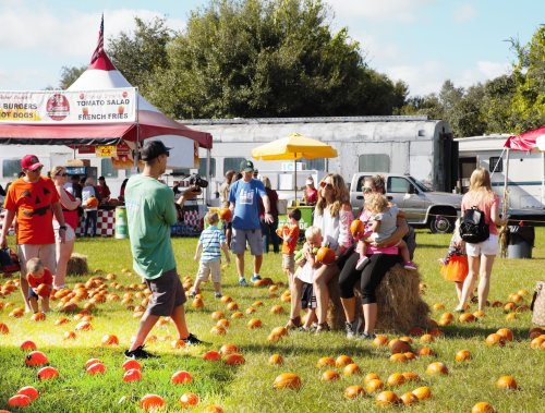 A lively pumpkin patch with families enjoying the day, food stalls in the background, and pumpkins scattered on the ground.