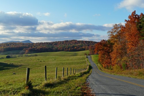 A winding road through a vibrant autumn landscape with colorful trees and rolling hills under a blue sky.