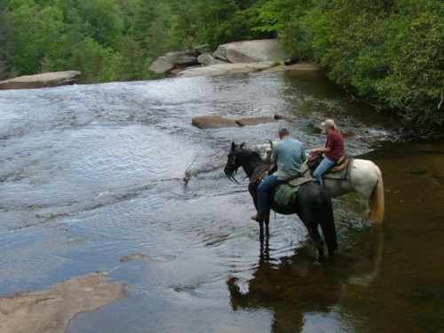 Two riders on horseback wade through a shallow stream surrounded by lush greenery and rocky terrain.