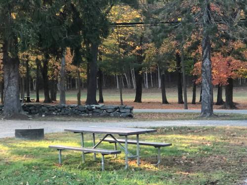 A picnic table in a park surrounded by trees with autumn foliage and a stone wall in the background.