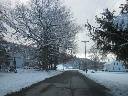 A snowy road lined with trees and houses, under a cloudy sky, creating a serene winter landscape.