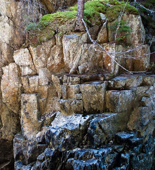 Rocky cliffside with moss and sparse trees, showcasing natural textures and earthy tones.