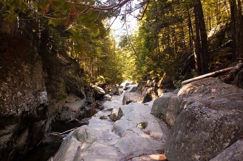A serene rocky riverbed surrounded by lush green trees and sunlight filtering through the forest.