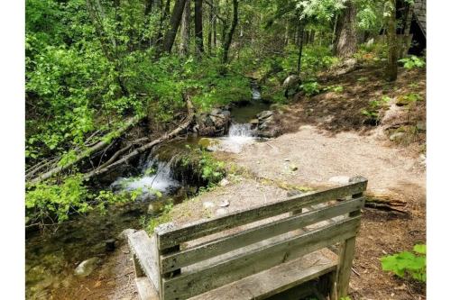 A wooden bench beside a small stream in a lush, green forest setting.