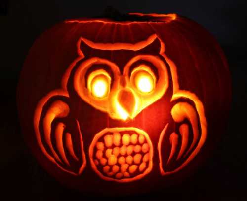 A carved pumpkin featuring an owl design with glowing eyes and intricate details.