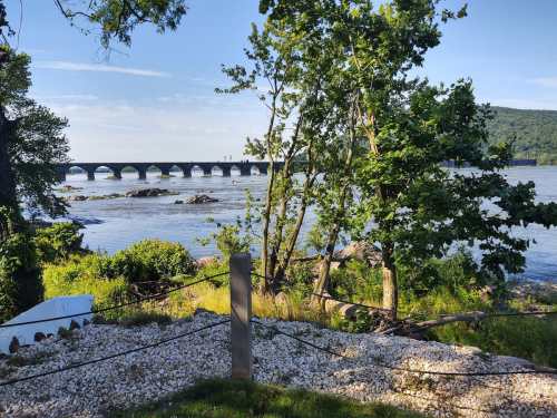 A scenic view of a river with a bridge in the background, surrounded by trees and rocky shoreline.