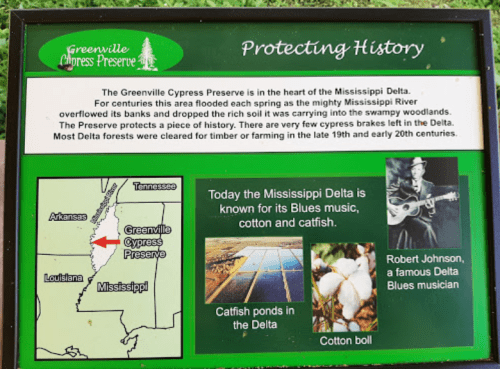 Sign about the Greenville Cypress Preserve, highlighting its history, ecology, and cultural significance in the Mississippi Delta.