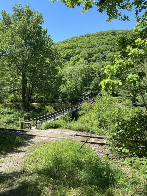 A wooden suspension bridge spans a lush green landscape, surrounded by trees and hills under a clear blue sky.