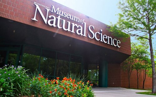 Exterior of the Mississippi Museum of Natural Science, featuring a brick facade and colorful flowers in the foreground.