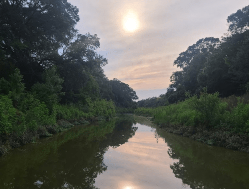 A serene river reflects the sky and trees, with a soft sun setting in the background.