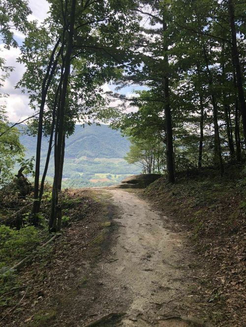 A dirt path winds through a forest, leading to a scenic view of mountains and valleys in the distance.