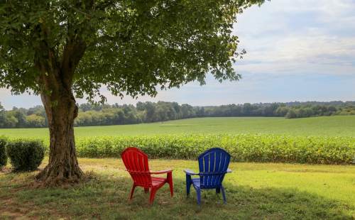 Two colorful adirondack chairs, one red and one blue, sit under a tree overlooking a lush green field.