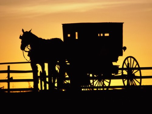 Silhouette of a horse and carriage against a vibrant sunset sky.